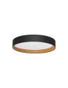 Luces Exclusivas ROSITA Modern Ceiling Black 1xLED max 50W 3000K LE43588