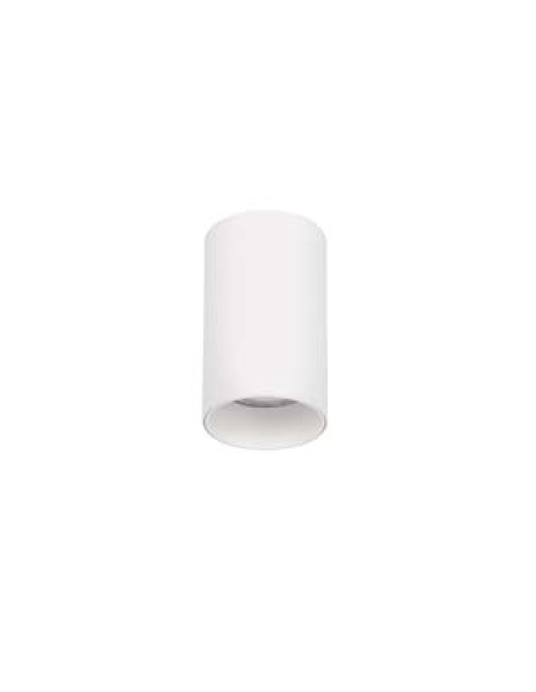 Tube lamps - Luces Exclusivas ACANCEH Surface Mounted Spot White 1xGU10 max 10W LE61625 - product kolory-swiatla.pl 1