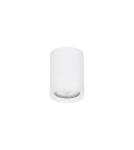 Tube lamps - Luces Exclusivas ACANCEH Surface Mounted Spot white 1xGU10 max 10W LE61626 - product 1
