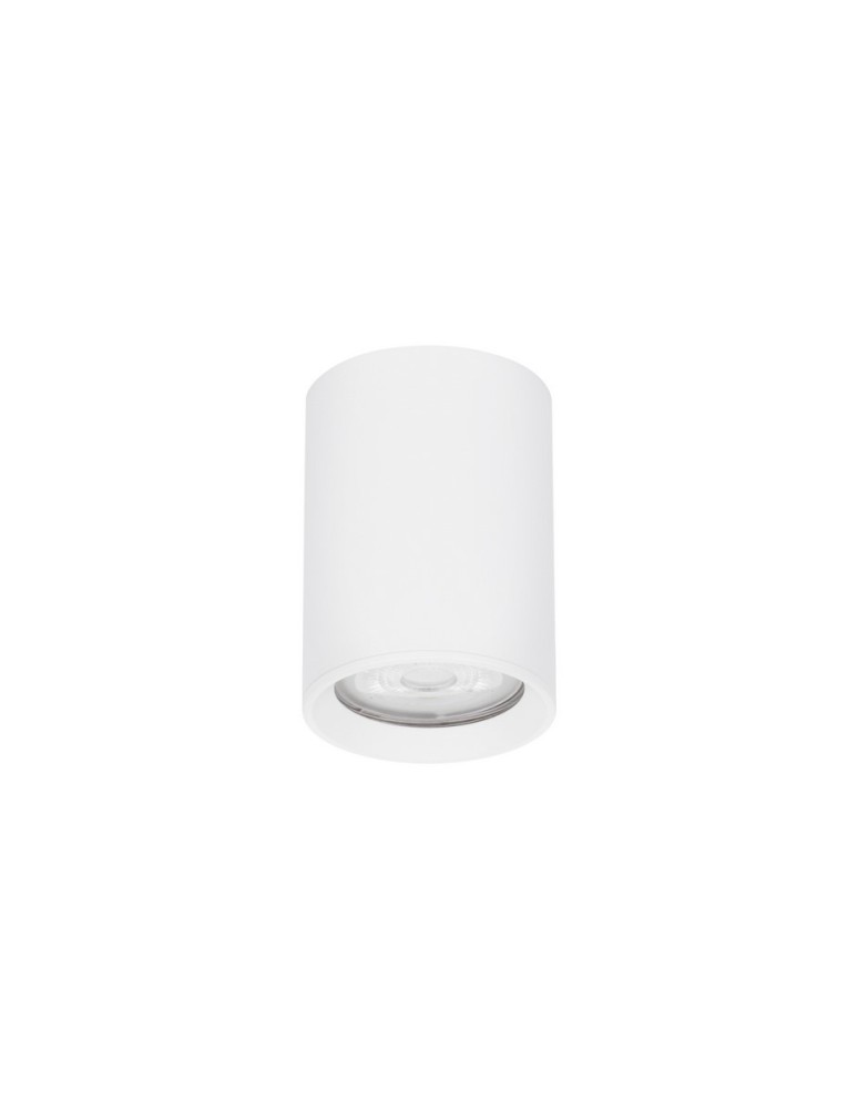 Tube lamps - Luces Exclusivas ACANCEH Surface Mounted Spot white 1xGU10 max 10W LE61626 - product kolory-swiatla.pl 1