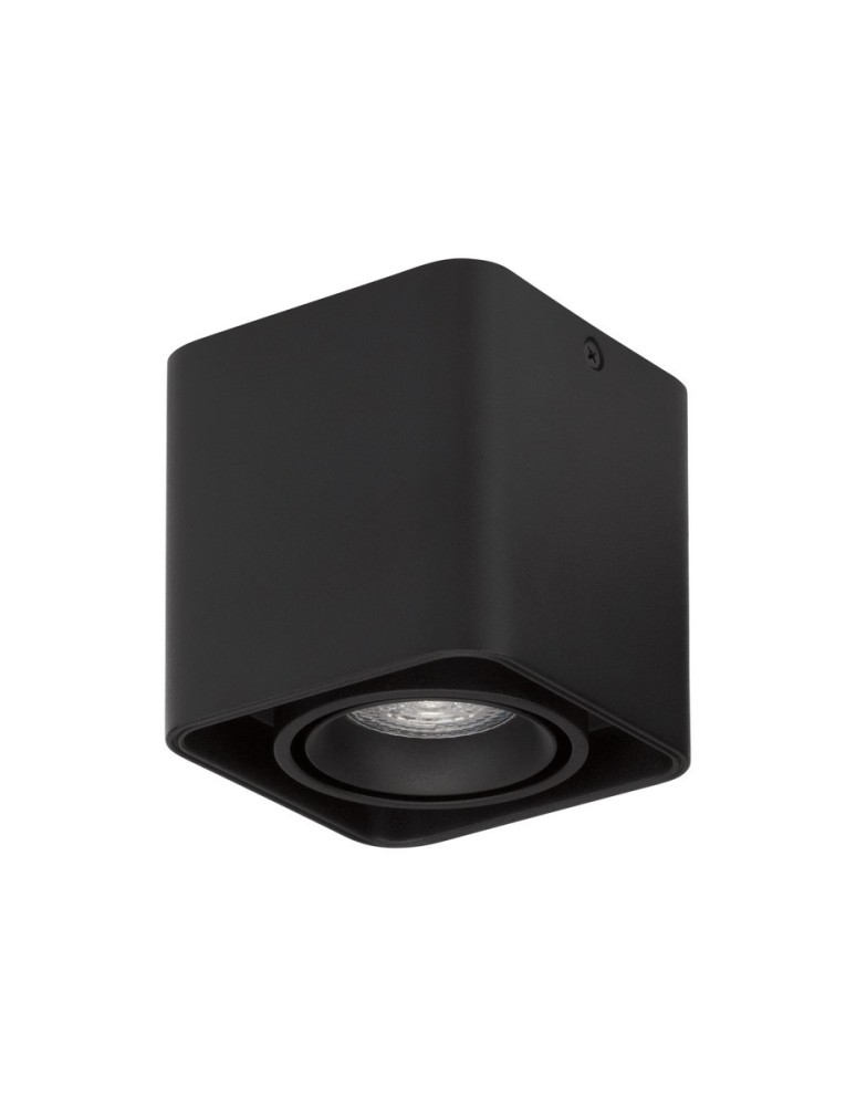 Tube lamps - Luces Exclusivas ACATIPA Surface Mounted Spot black 1xGU10 max 10W LE61636 - product kolory-swiatla.pl 1