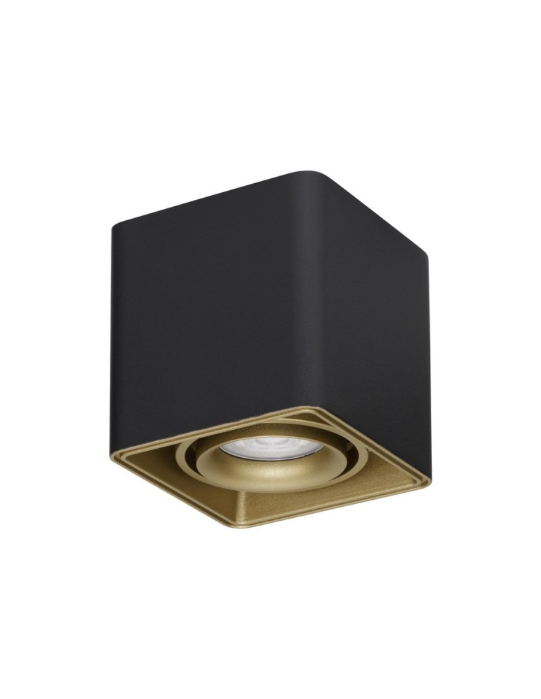 Tube lamps - Luces Exclusivas ACATIPA Surface Mounted Spot black 1xGU10 max 10W LE61637 - product kolory-swiatla.pl 1