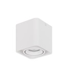 Tube lamps - Luces Exclusivas ACATIPA Surface Mounted Spot white 1xGU10 max 10W LE61638 - product 1