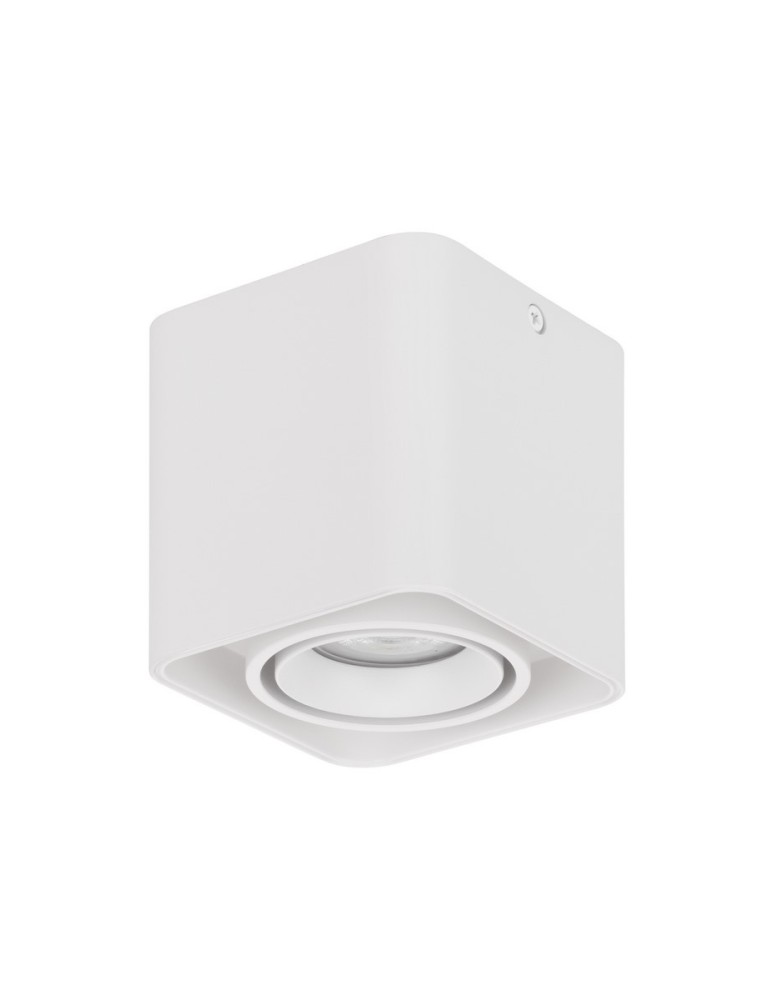 Tube lamps - Luces Exclusivas ACATIPA Surface Mounted Spot white 1xGU10 max 10W LE61638 - product kolory-swiatla.pl 1
