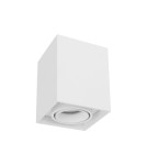 Tube lamps - Luces Exclusivas CHIVACOA Surface Mounted Spot white 1xGU10 max 10W LE61641 - product 1