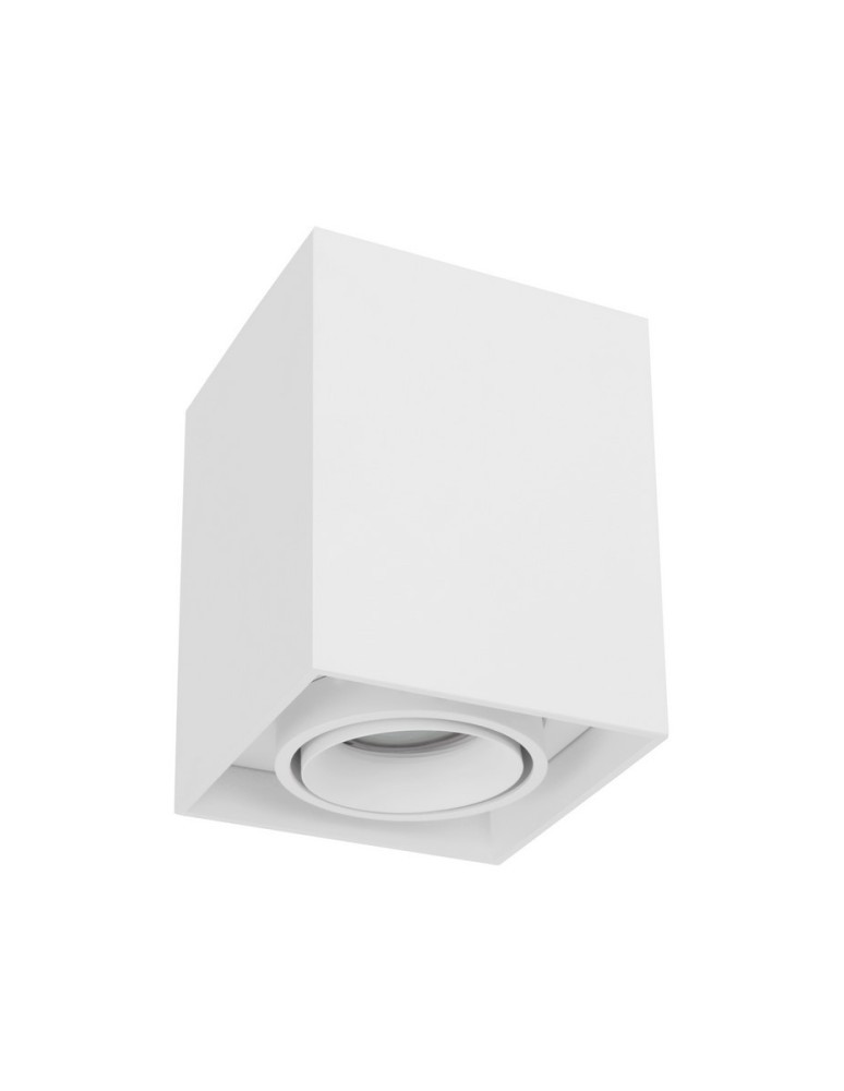 Tube lamps - Luces Exclusivas CHIVACOA Surface Mounted Spot white 1xGU10 max 10W LE61641 - product kolory-swiatla.pl 1