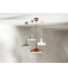 Single pendant lamps - RL WILL Pendant Modern 1xE27 max 60W Nickel Matte R30421007 - product 2