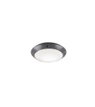 Outdoor ceiling lamps - RL CAMARO Outdoor Ceiling 1xE27 max 12W Anthracite R60501042 - product 1