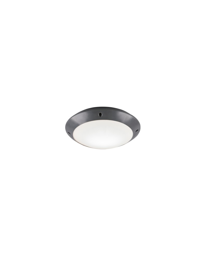 Outdoor ceiling lamps - RL CAMARO Outdoor Ceiling 1xE27 max 12W Anthracite R60501042 - product kolory-swiatla.pl 1