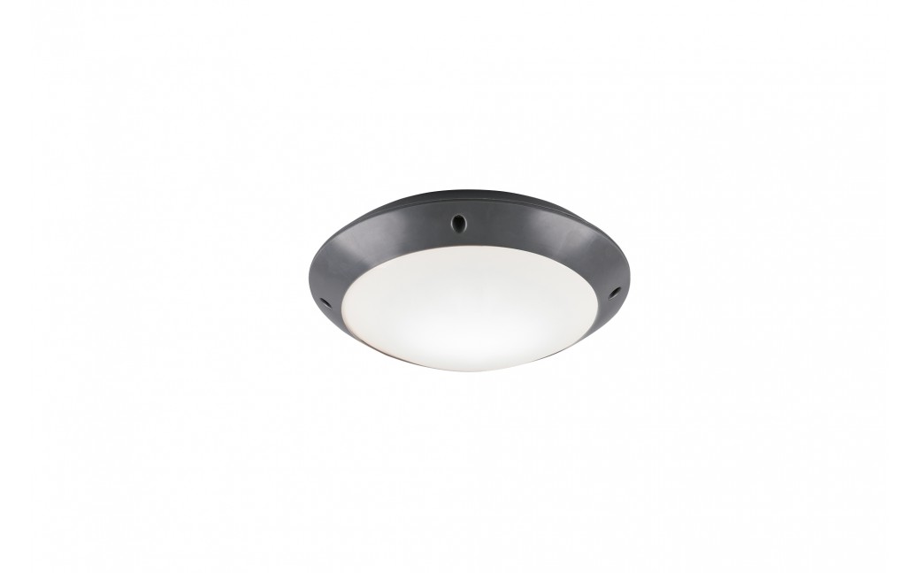 RL CAMARO Zewnętrzna Sufitowa 1xE27 max 12W Antracyt R60501042