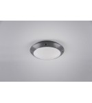 Outdoor ceiling lamps - RL CAMARO Outdoor Ceiling 1xE27 max 12W Anthracite R60501042 - product 2