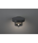 Solar lamps - RL POSADAS Outdoor Wall Mounted 1xLED max 5W 3000K Anthracite R22251142 - product 3