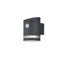 Solar lamps - RL SALTA Outdoor Wall Mounted 1xLED max 3W 3000K Anthracite R22231142 - product 1
