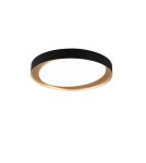 LED ceiling lamps - RL ZETA Modern Ceiling 1xLED max 24W 2700-6500K Black R62712402. - product 1