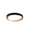 RL ZETA Modern Ceiling 1xLED max 24W 2700-6500K Black R62712402.