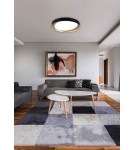 LED ceiling lamps - RL ZETA Modern Ceiling 1xLED max 24W 2700-6500K Black R62712402. - product 2