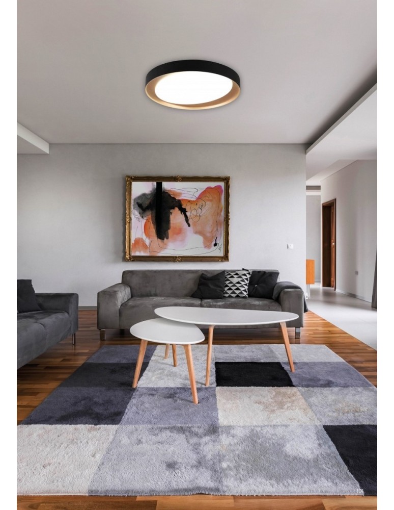 LED ceiling lamps - RL ZETA Modern Ceiling 1xLED max 24W 2700-6500K Black R62712402. - product kolory-swiatla.pl 2