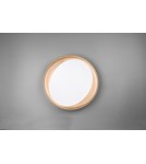LED ceiling lamps - RL ZETA Modern Ceiling 1xLED max 24W 2700-6500K Black R62712402. - product 5