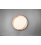 LED ceiling lamps - RL ZETA Modern Ceiling 1xLED max 24W 2700-6500K Black R62712402. - product 6