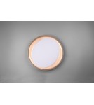 LED ceiling lamps - RL ZETA Modern Ceiling 1xLED max 24W 2700-6500K Black R62712402. - product 7
