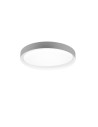 RL ZETA Ceiling Modern 1xLED max 24W 2700-6500K Grey R62712411