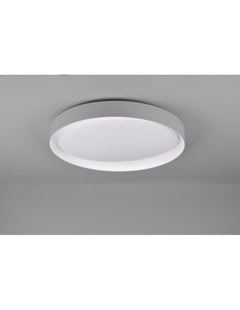 LED ceiling lamps - RL ZETA Ceiling Modern 1xLED max 24W 2700-6500K Grey R62712411 - product kolory-swiatla.pl 2