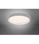 LED ceiling lamps - RL ZETA Ceiling Modern 1xLED max 24W 2700-6500K Grey R62712411 - product 3