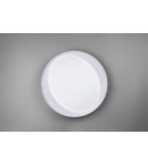LED ceiling lamps - RL ZETA Ceiling Modern 1xLED max 24W 2700-6500K Grey R62712411 - product 4