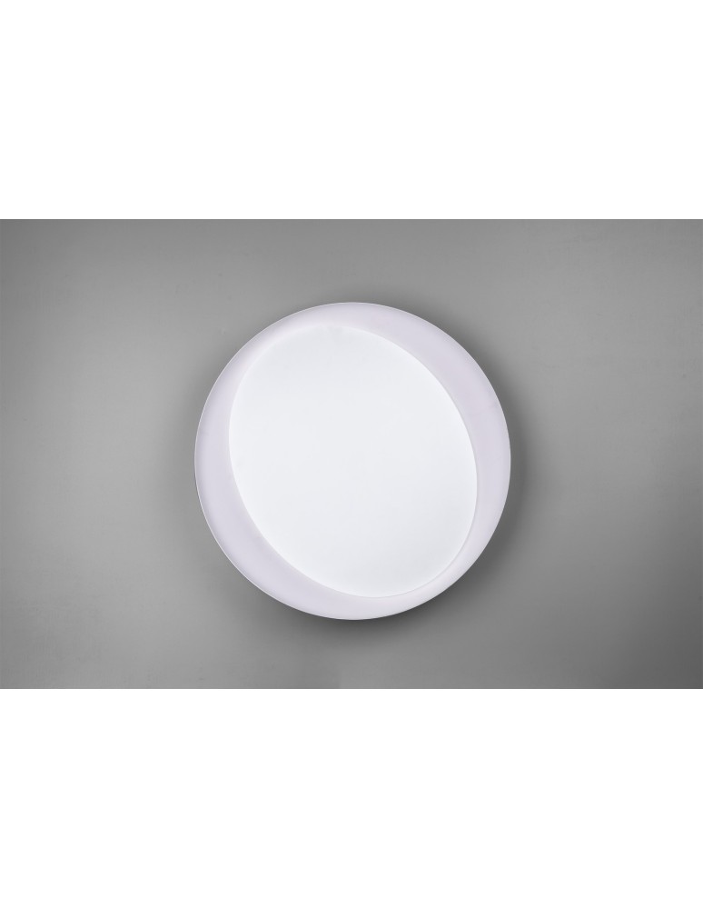 LED ceiling lamps - RL ZETA Ceiling Modern 1xLED max 24W 2700-6500K Grey R62712411 - product kolory-swiatla.pl 4
