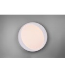 LED ceiling lamps - RL ZETA Ceiling Modern 1xLED max 24W 2700-6500K Grey R62712411 - product 5