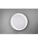LED ceiling lamps - RL ZETA Ceiling Modern 1xLED max 24W 2700-6500K Grey R62712411 - product 6