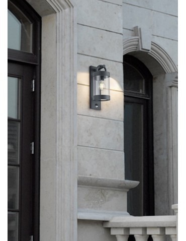 Trio SAMBESI Outdoor Wall Mounted 1xE27 max 28W Anthracite 204169142 - product 2