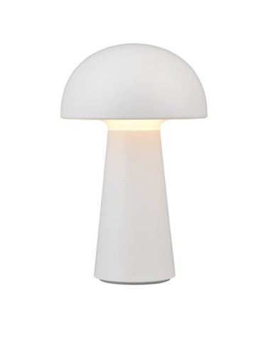 RL LENNON Outdoor Portable 1xLED max 2W 3000K White R52176101.