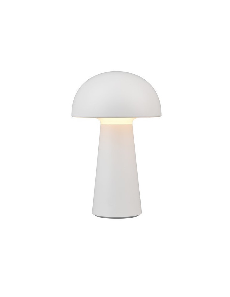 Portable garden lamps - RL LENNON Outdoor Portable 1xLED max 2W 3000K White R52176101. - product kolory-swiatla.pl 1