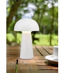 Portable garden lamps - RL LENNON Outdoor Portable 1xLED max 2W 3000K White R52176101. - product 2