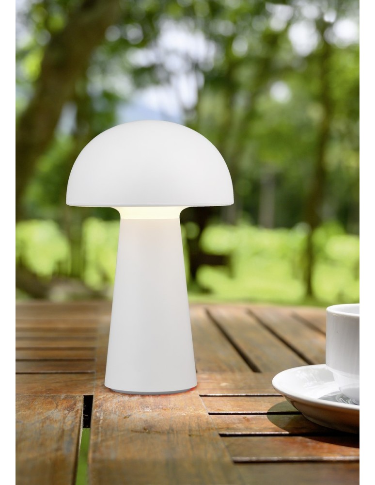 Portable garden lamps - RL LENNON Outdoor Portable 1xLED max 2W 3000K White R52176101. - product kolory-swiatla.pl 2