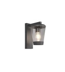 Outdoor wall lamps - Trio CAVADO Outdoor Wall Mounted 1xE27 max 40W Anthracite 211060142 - product 1