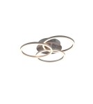 LED ceiling lamps - RL CIRCLE Ceiling Modern 1xLED max 27W 2700-6000K Nickel Mat R62823107 - product 1