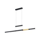 Pendant lamps - Trio TRAJAN Modern Pendant 1xLED max 45W 2700K-5000K Black Matte 375310502 - product 1