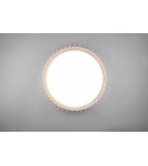 Lampy sufitowe LED - RL MONTE Sufitowa Nowoczesna 1xLED max 38W 3000-6500K Biały R62171930 - produkt 3