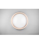LED ceiling lamps - RL MONTE Modern Ceiling 1xLED max 38W 3000-6500K White R62171930. - product 5