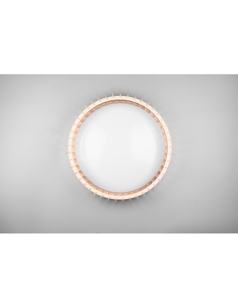 LED ceiling lamps - RL MONTE Modern Ceiling 1xLED max 38W 3000-6500K White R62171930. - product kolory-swiatla.pl 5
