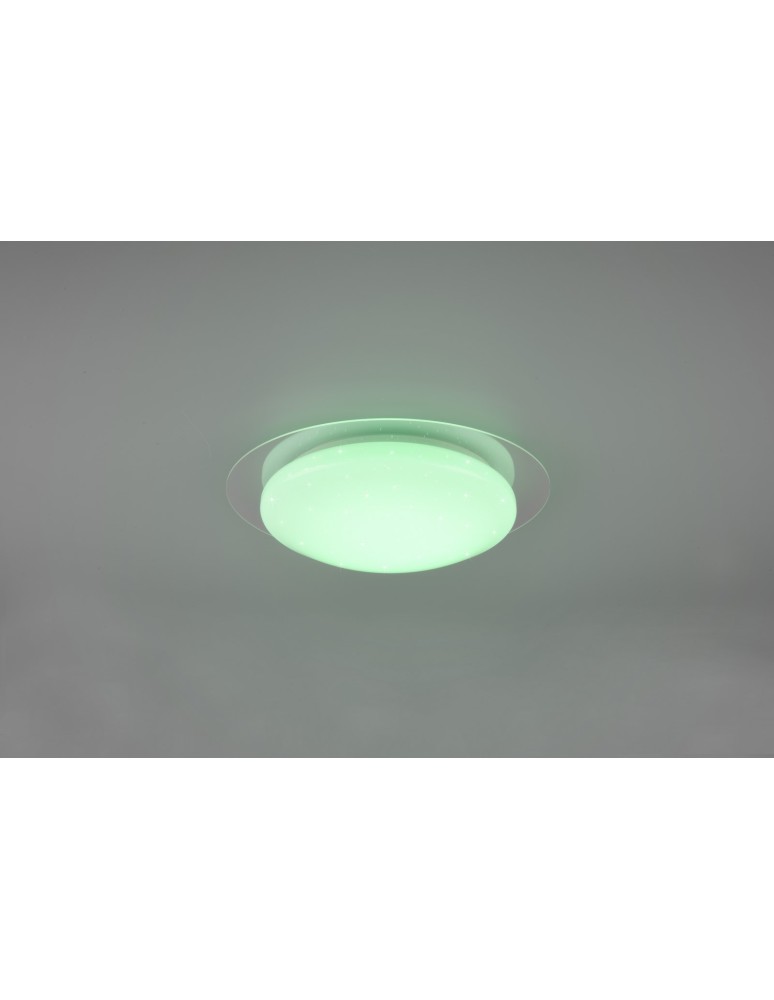 Bathroom ceiling lamps - Trio FRODENO Bathroom Ceiling 1xLED max 12W 4000K White 680213500 - product kolory-swiatla.pl 2
