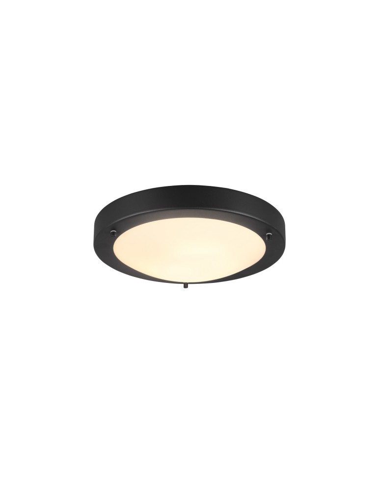 Bathroom ceiling lamps - Trio CONDUS Bathroom Ceiling 1xE27 max 60W Black Matte 6801011-32 - product kolory-swiatla.pl 1