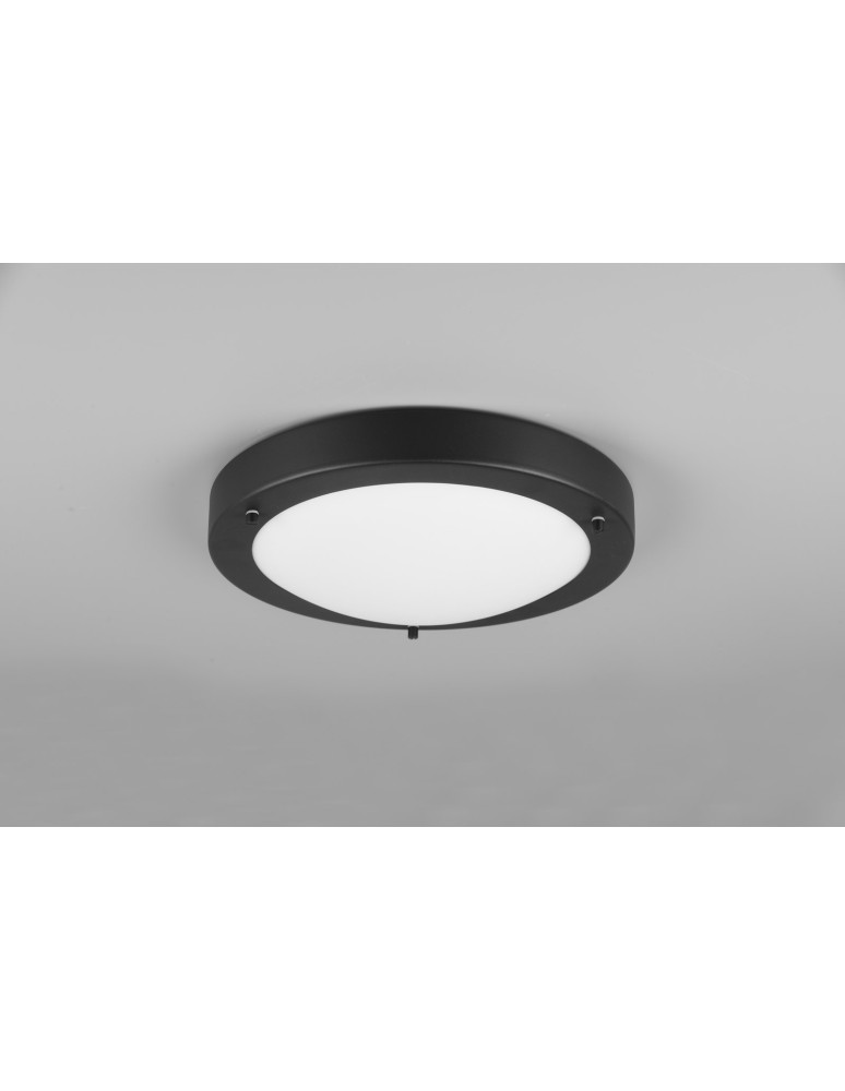 Bathroom ceiling lamps - Trio CONDUS Bathroom Ceiling 1xE27 max 60W Black Matte 6801011-32 - product kolory-swiatla.pl 2