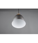 Single pendant lamps - RL JAGGER Pendant Modern 1xE27 max 40W Antique Nickel R30681067 - product 4