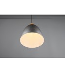 Single pendant lamps - RL JAGGER Pendant Modern 1xE27 max 40W Antique Nickel R30681067 - product 6