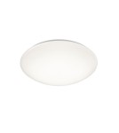 Bathroom ceiling lamps - Trio PAOLO Bathroom Ceiling 1xLED max 15W 3000K White 686014001 - product 1