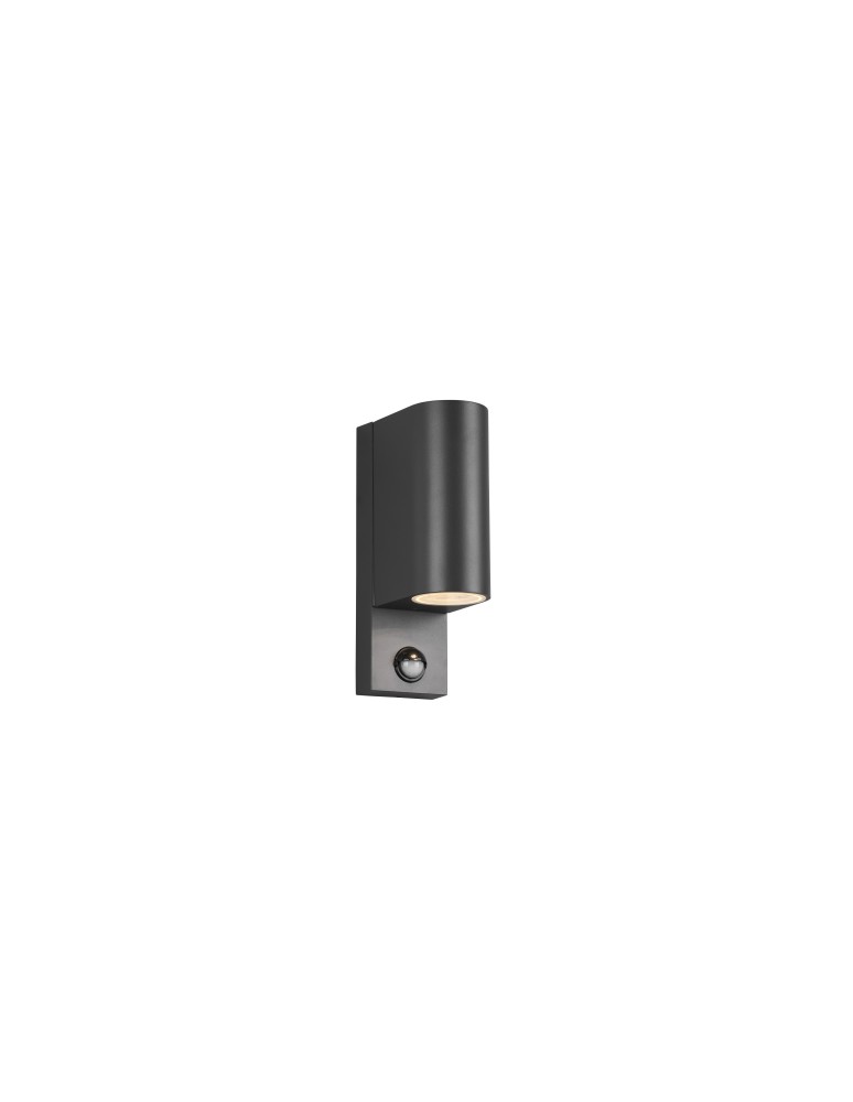 Outdoor lights with motion sensor - Trio ROYA Outdoor Wall Mount 2xGU10 max 35W Anthracite 214260242 - product kolory-swiatla.pl 1