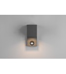 Outdoor lights with motion sensor - Trio ROYA Outdoor Wall Mounted 1xGU10 max 35W Anthracite 214269142 - product 2